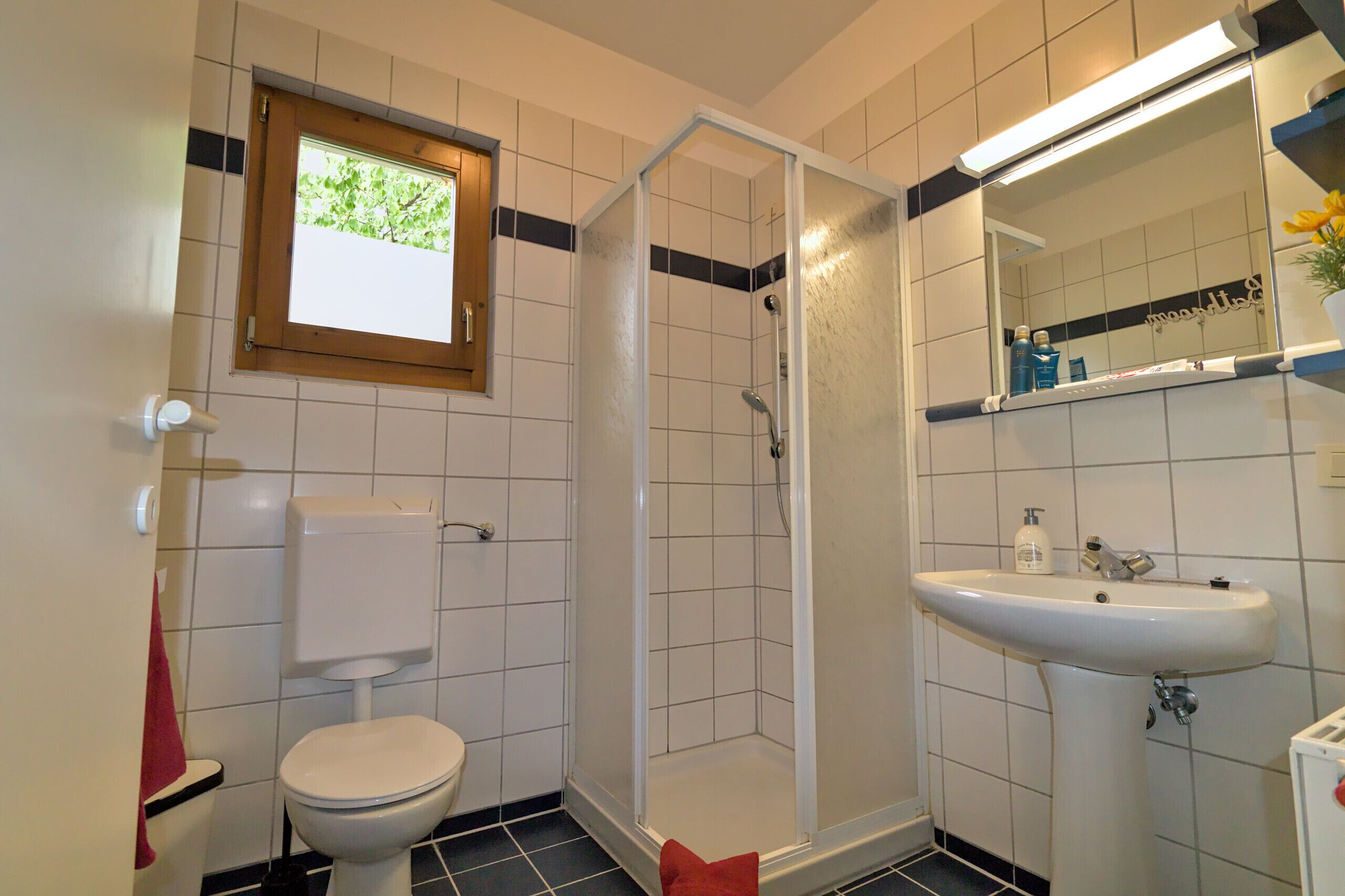 シャワー、ヘアドライヤー