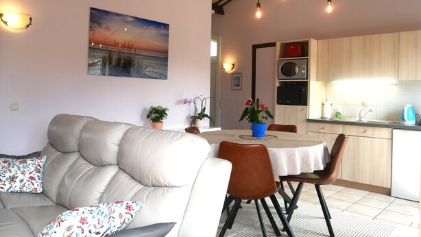 Una sala de estar con sofá, una mesa de comedor con sillas, un área de cocina con armarios y electrodomésticos, y un cuadro en la pared.
