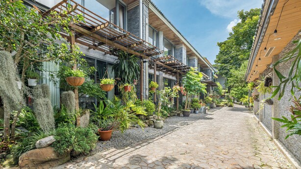 Un patio con un sendero adoquinado, plantas en macetas y jardineras colgantes.