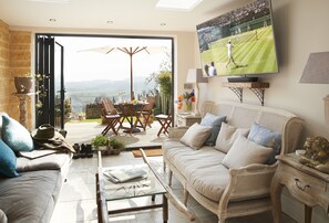 Televisión, chimenea