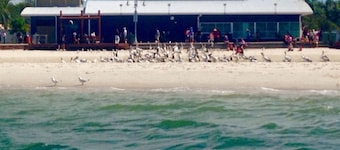 Spacious 7-Bedroom Retreat with Private Pool and near Theme Parks & Beaches