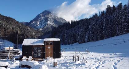 The Alpine Experience 1 by Tiny Away