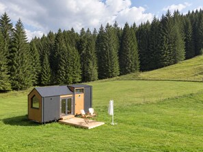A small cabin with a sloped roof, a wooden door, and a glass window, situated on a grassy field with a forest in the background. - The Alpine Experience 1 by Tiny Away (Zell-Freibach)