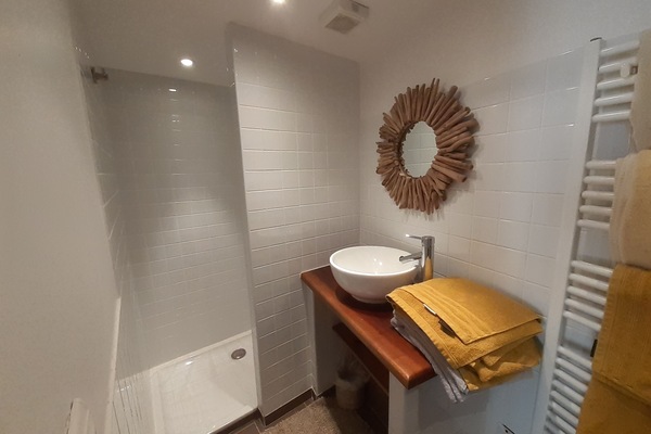 Regadera, secadora de cabello, toallas, papel de baño