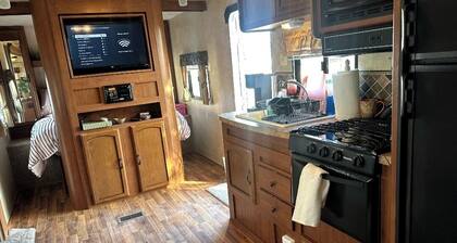 Gilligan's Island Fishing Jetski Shipwreck Oasis