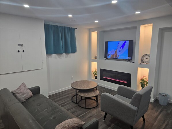 Smart TV, fireplace, books