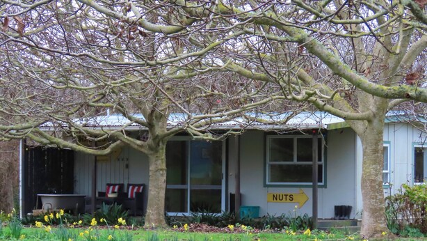 A building with a sign reading "NUTS" and a garden with daffodils. - Nut Cottage (Whanganui)