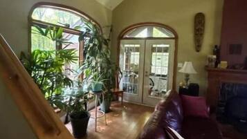 Televisor intel·ligent, llar de foc, reproductor de DVD i llibres