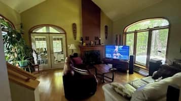 Televisor intel·ligent, llar de foc, reproductor de DVD i llibres