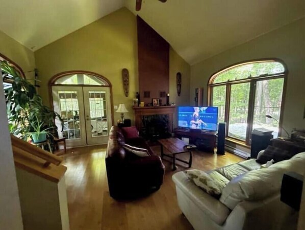 TV connectée, cheminée, lecteur de DVD, livres