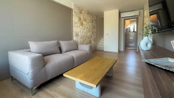 Flat-screen TV