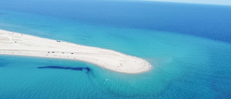 Ranta