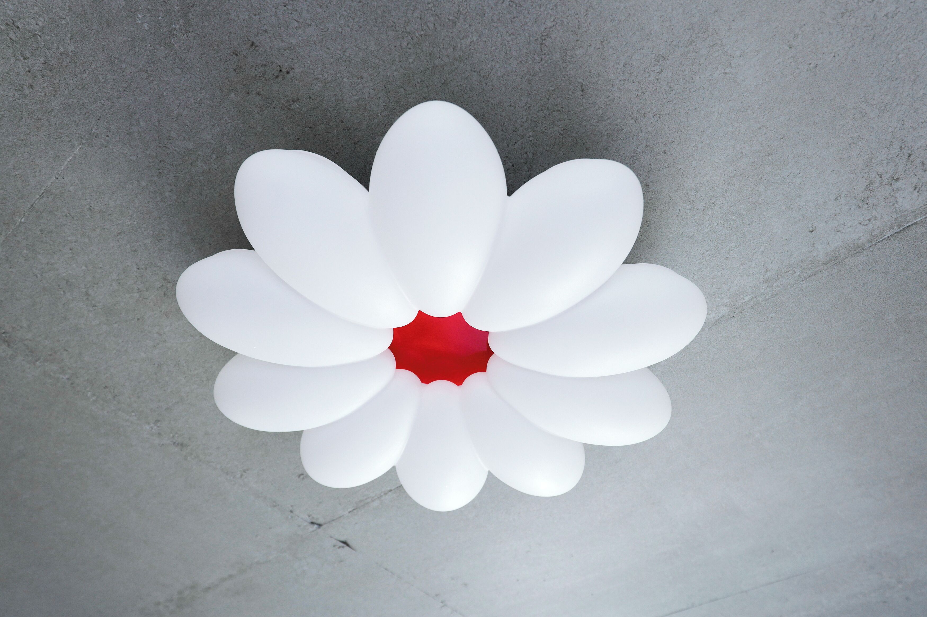 A white flower-shaped light fixture on a gray concrete wall.