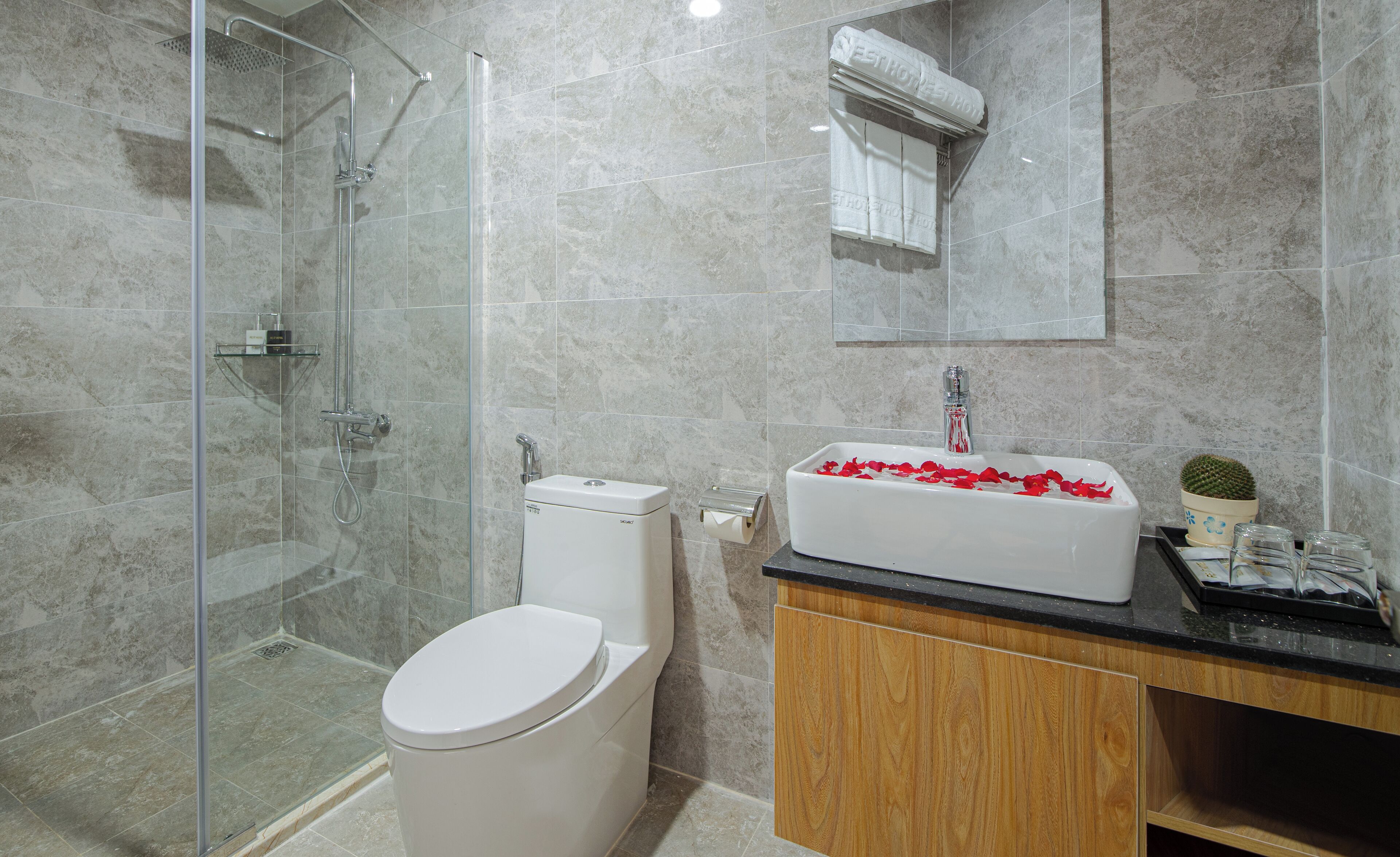 Et moderne badeværelse med en glasbrusekabine, et hvidt toilet og et toiletbord med vask og spejl.