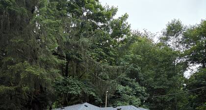 House in Seaside- Elsie’s Humble Haven Creekside view