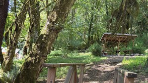 Un puente de madera en un área boscosa, con un banco de madera y un refugio al fondo.