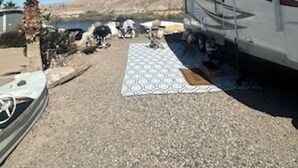 Una caravana estacionada sobre grava con un tapete decorativo al frente.