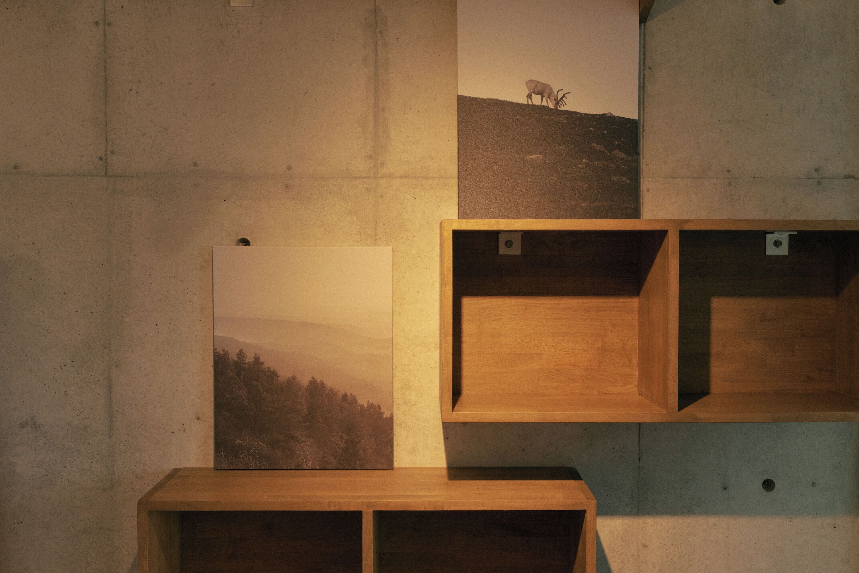 Departamento, para no fumadores (502, 3 people) | Wifi gratis 