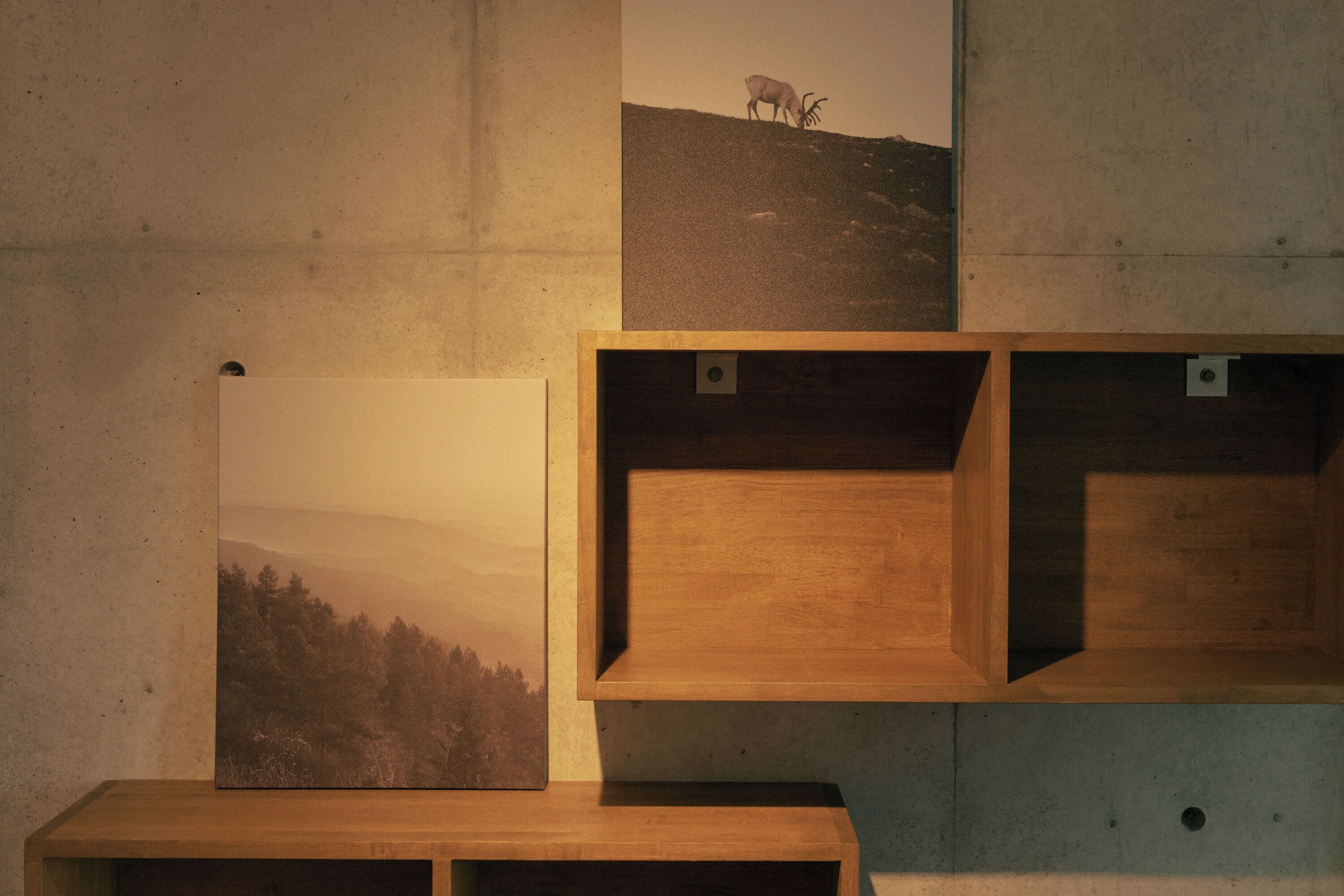 Appartement, niet-roken (502, 3 people) | Gratis wifi