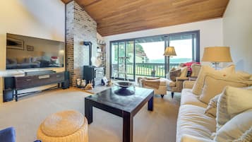 TV, fireplace, video games, video library