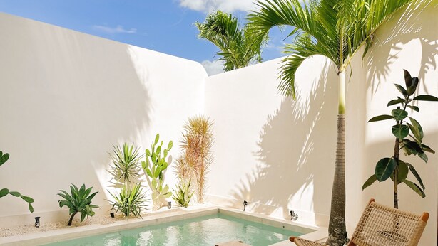 A pool area with a white wall, various plants, and two wicker chairs. - Casa Mahina Umalas (Kerobokan)