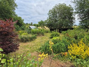 Ein Garten mit Gewächshaus, verschiedenen Pflanzen und Bäumen.