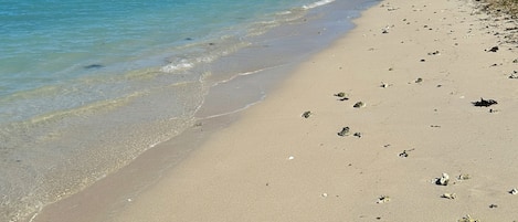 Sulla spiaggia, lettini da mare