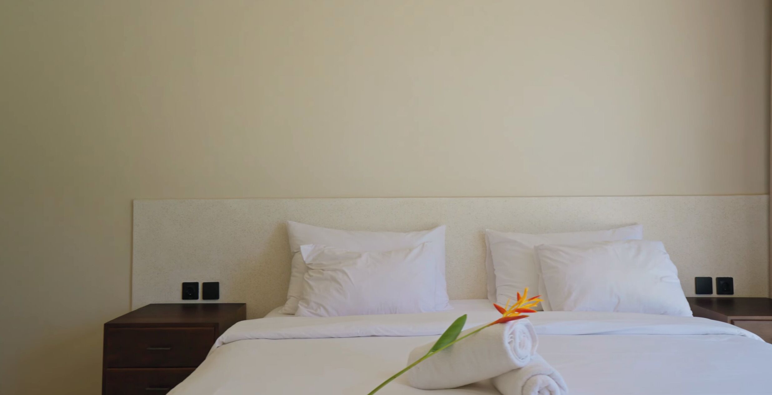 A hotel room with a neatly made bed, white bedding, and a single flower on the bed.