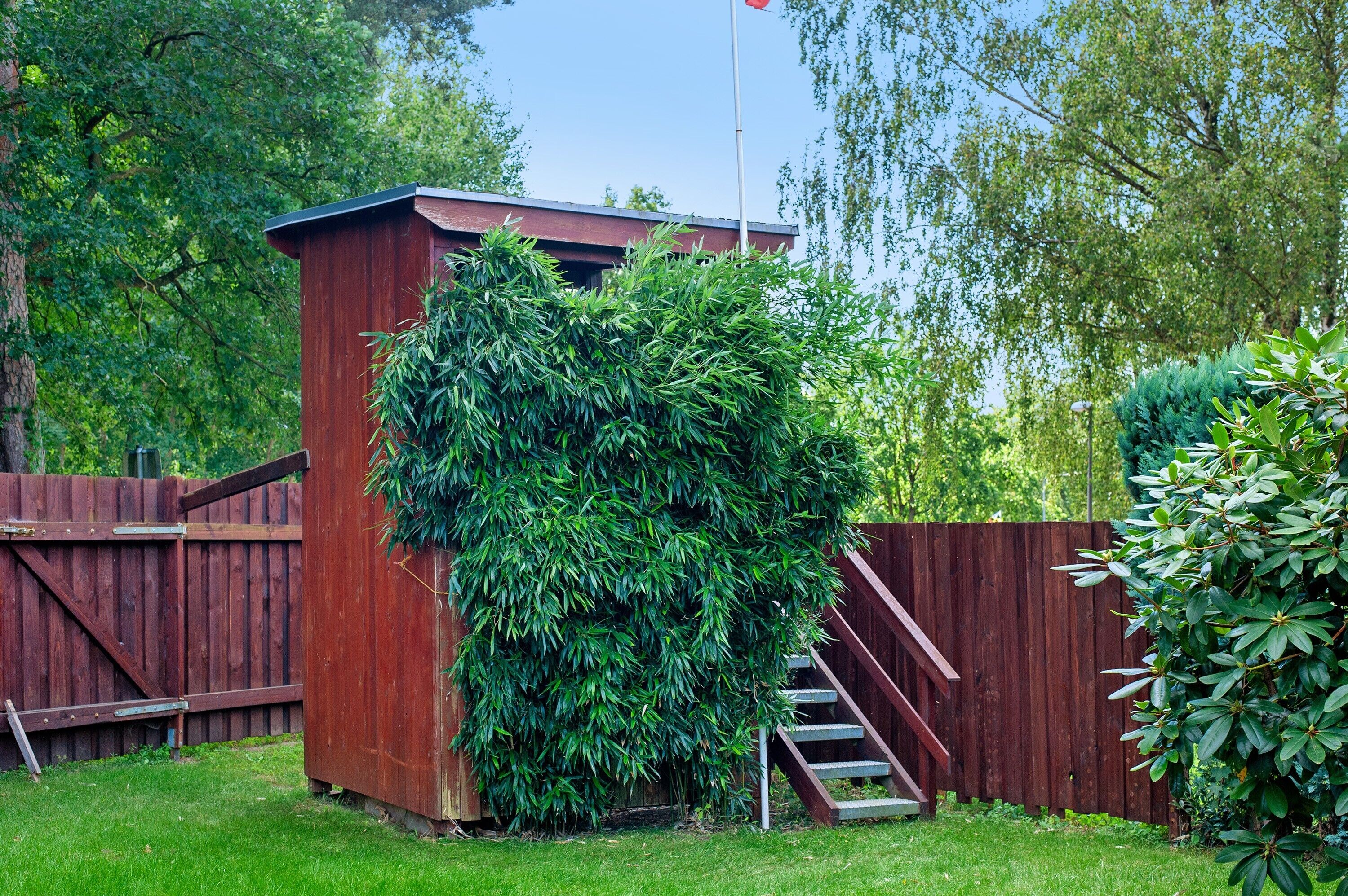 A wooden shed with a staircase leading up to it, surrounded by lush greenery.