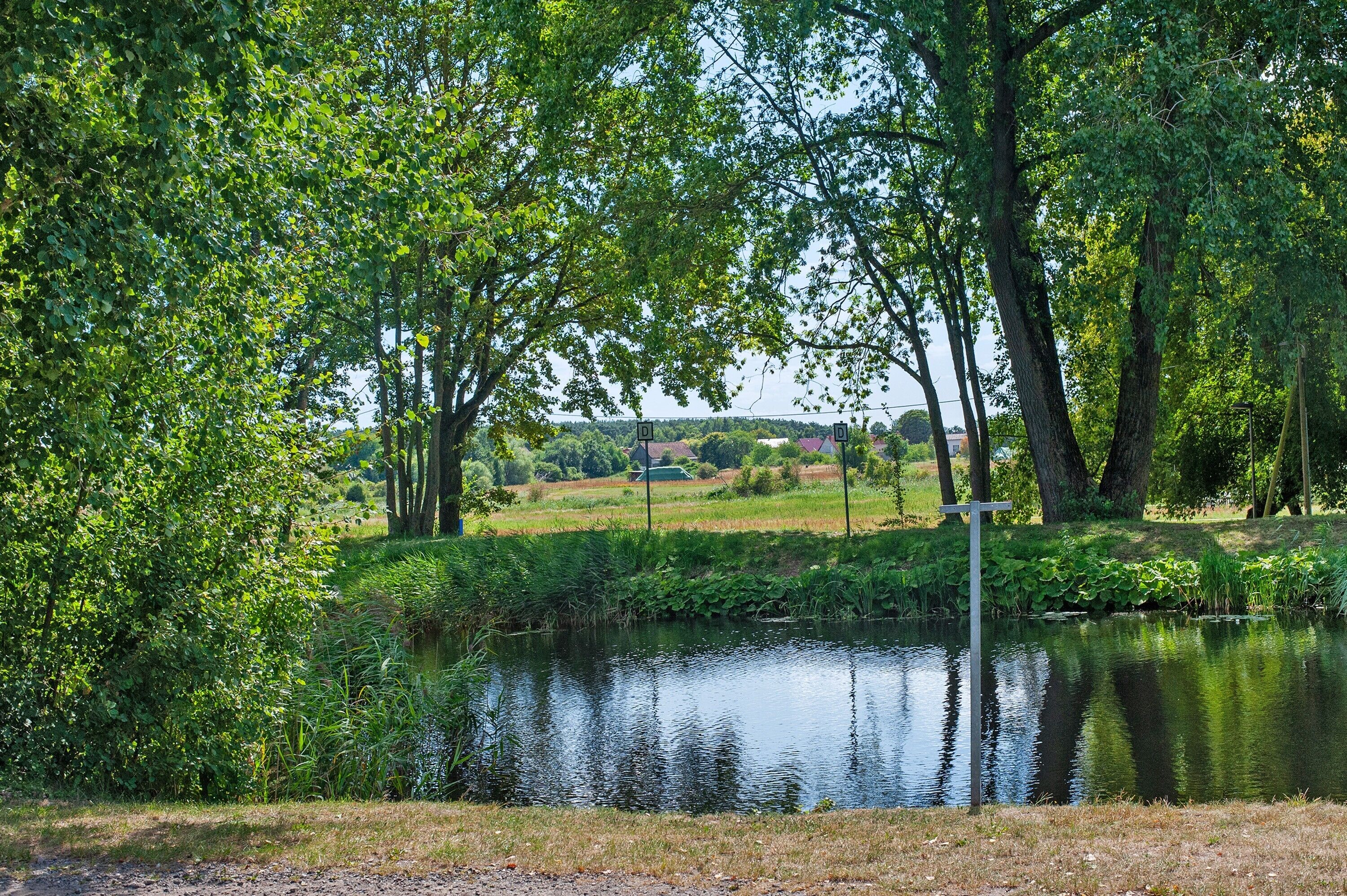 A serene pond surrounded by lush greenery and trees.