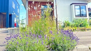 A residential building with a red door and a blue exterior wall. - Station Home Lavender (Furano)