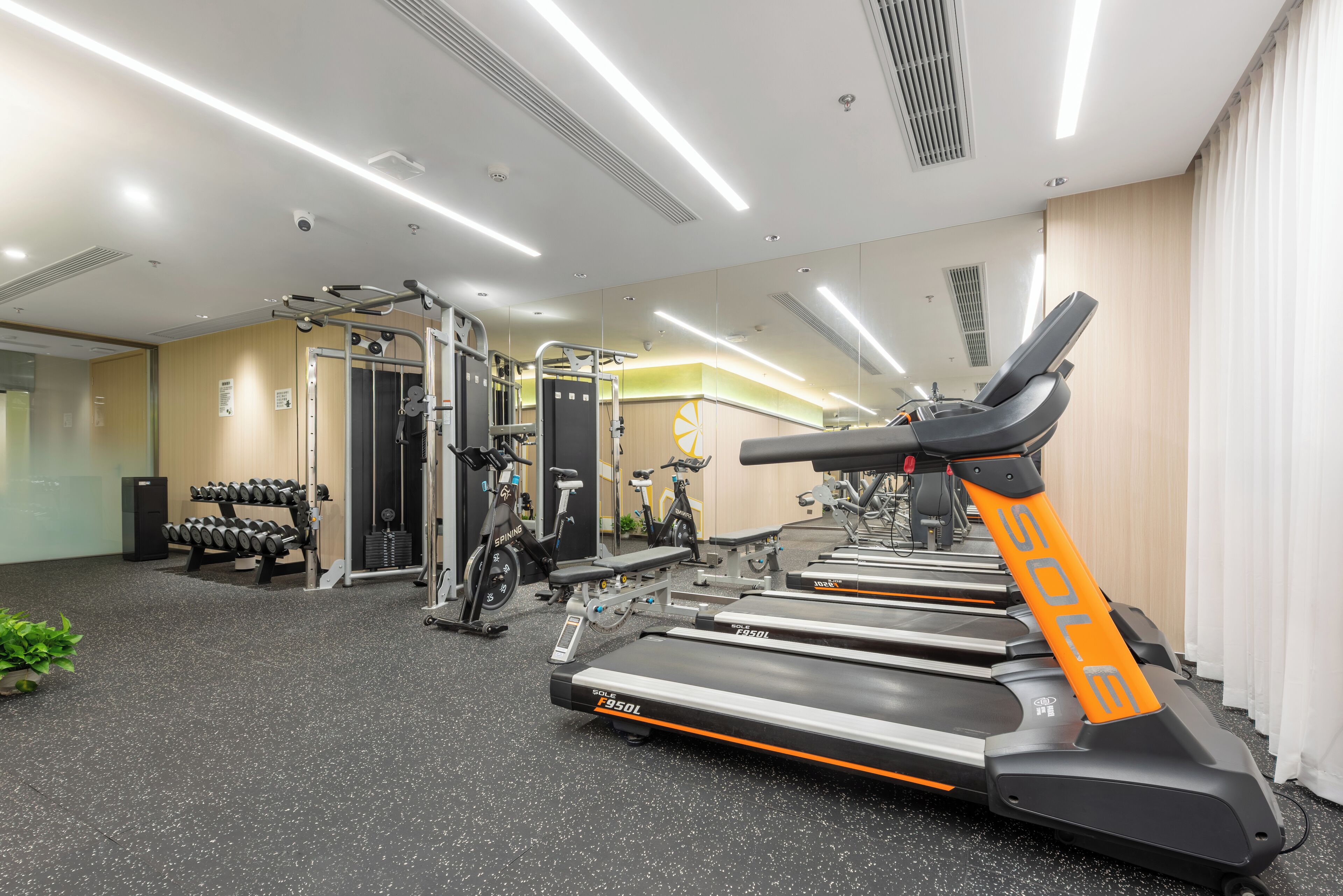A gym with treadmills, dumbbells, and exercise bikes.