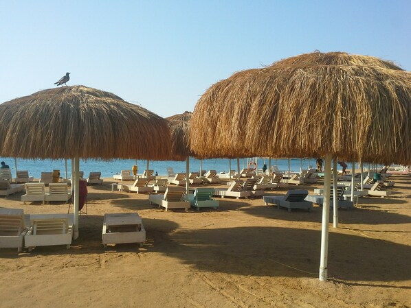 Plage à proximité, chaises longues, serviettes de plage