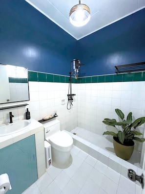 Slaapzaal, patio | Badkamer | Een douche, een regendouche, een bidet, toiletpapier