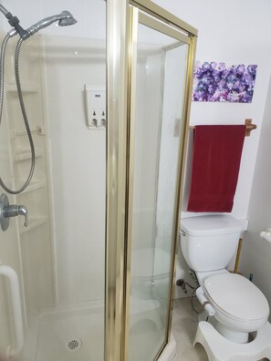 Ducha, toallas, jabón, papel higiénico