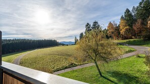 Ein Balkon mit Blick auf eine ländliche Landschaft, darunter eine Straße, Felder und Bäume.