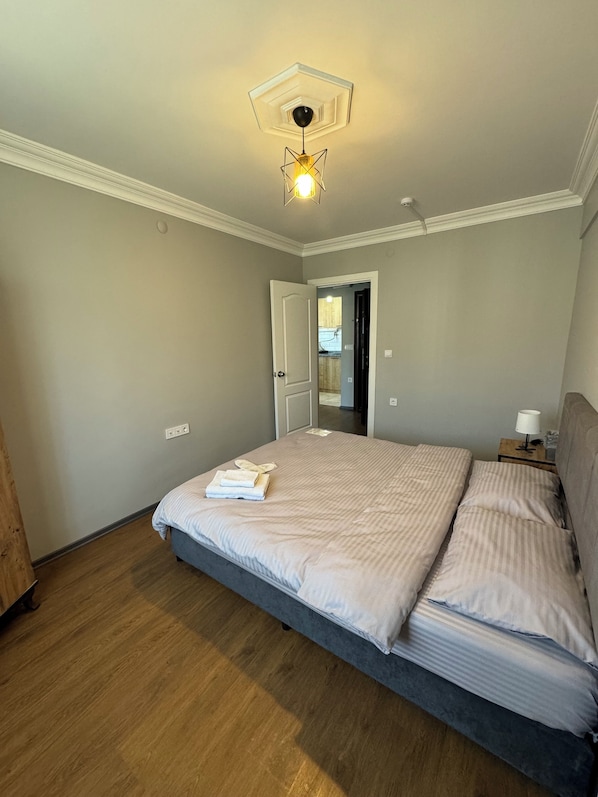 Standard Apartment, Kitchen, Park View | Desk, blackout drapes, iron/ironing board, free WiFi