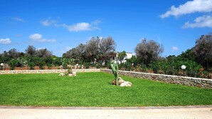 Un espace verdoyant bien entretenu, agrémenté d’un cactus, d’un mur de pierres et d’arbres en arrière-plan.