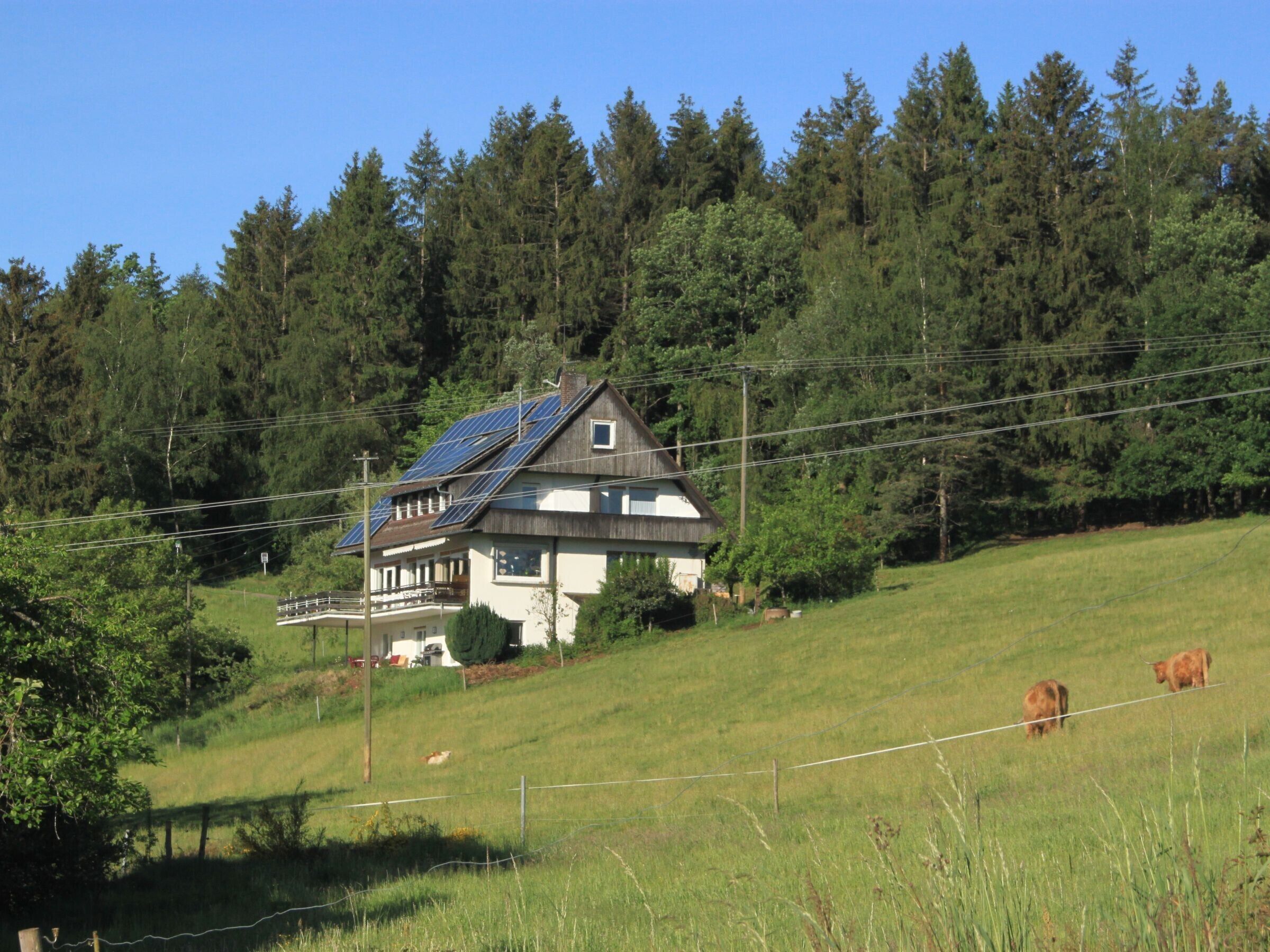 Een huis met zonnepanelen, omgeven door een grasveld en een bos.