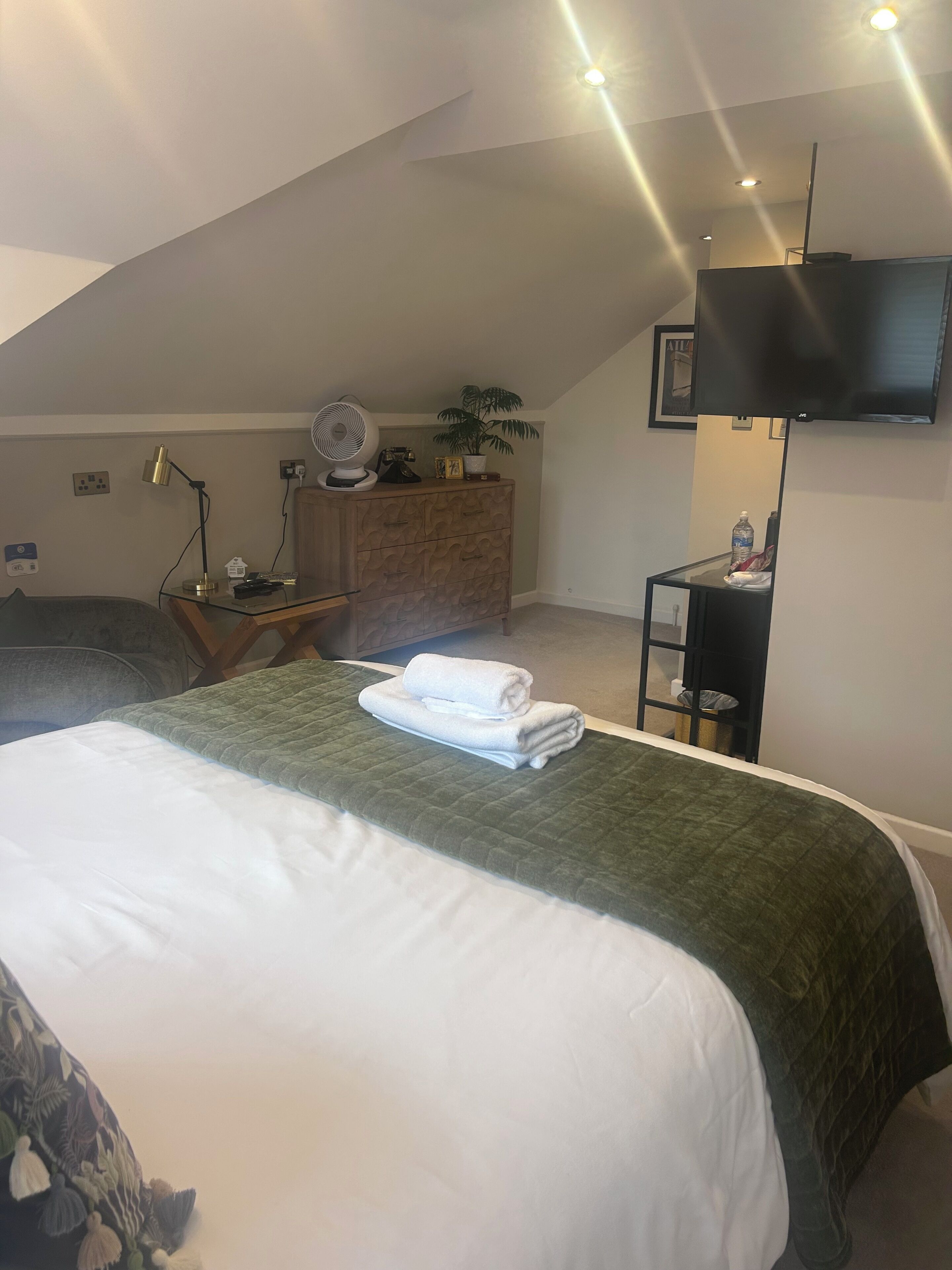 Habitación de hotel con cama, escritorio, silla, televisión y planta.