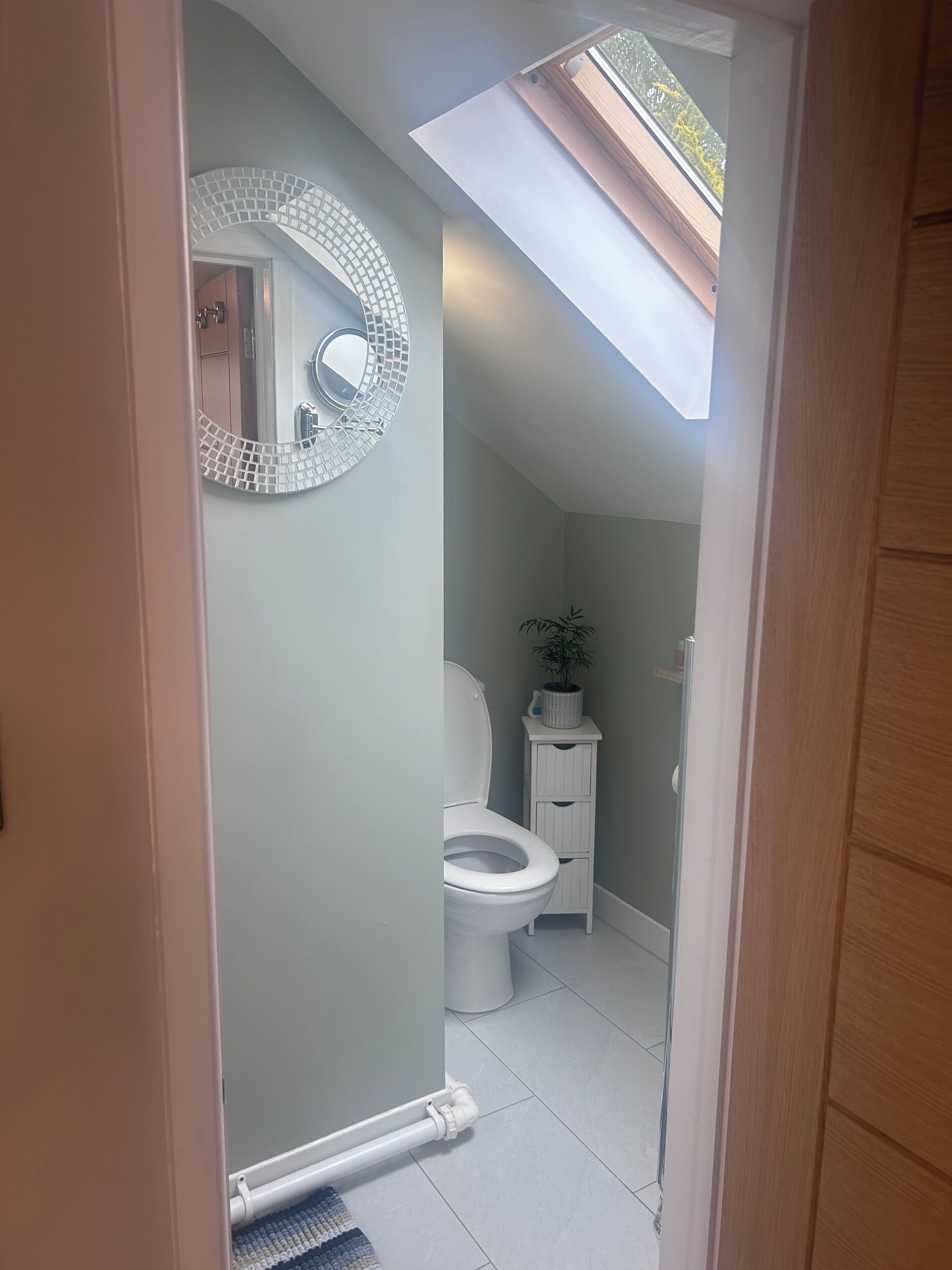 A bathroom with a skylight, a toilet, a sink with a mirror, and a potted plant.