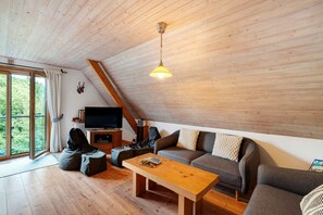 Tv, pejs, dvd-afspiller, bordtennisbord