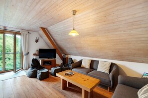 TV, fireplace, DVD player, table tennis