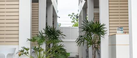 A modern indoor space with a central corridor flanked by white walls and columns, featuring potted plants and a white reception desk.