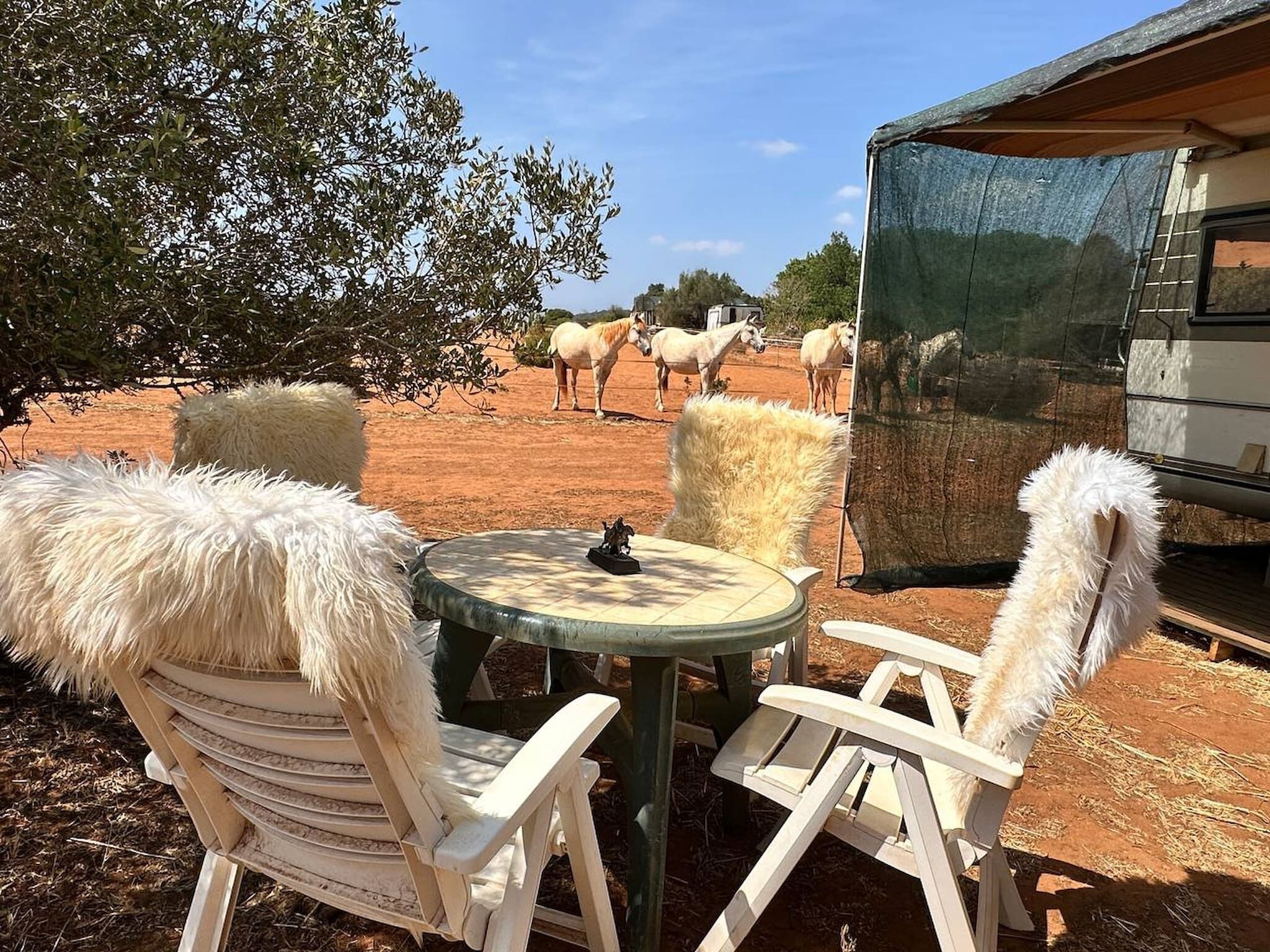 屋外ダイニングエリア