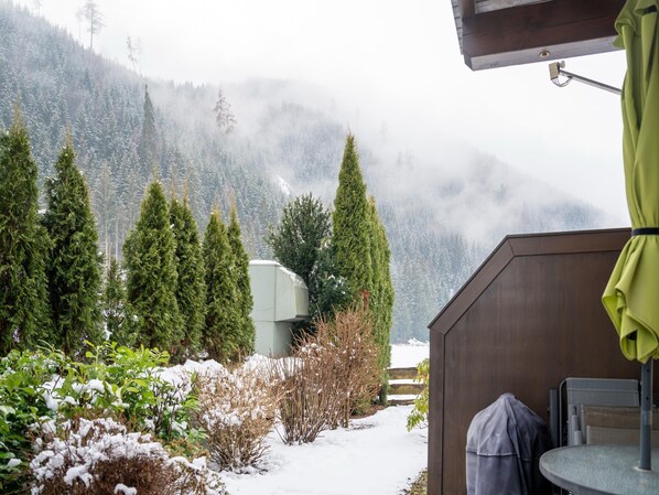 Deluxe House, 2 Bedrooms | Garden