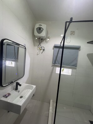 Shower, hair dryer, bidet, towels