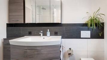 Shower, hair dryer, towels