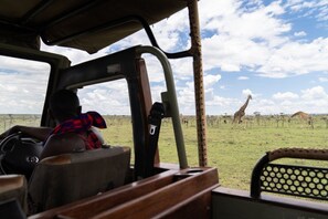 Exterior - Basecamp Adventure (Maasai Mara)
