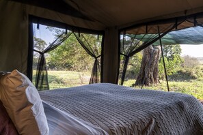 Free WiFi - Basecamp Adventure (Maasai Mara)